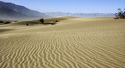 Mesquite Dunes